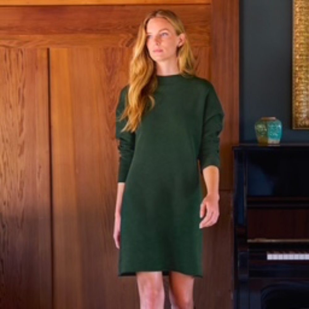 Frank & Eileen Izzie Long Sleeve Sweatshirt Party Dress M Evergreen EUC
